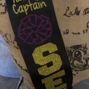 Senior sash, pom sash, pom pom, class of 2020, pom pom girl sash, homecoming sash, graduation shirt, prom queen,captain sash, bridesmaid