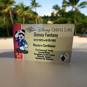 Disney cruise magnet, custom cruise magnets, DCL, cruise magnet, key to the world, FE, magnet exchange, Disney fantasy, Disney wish, dream