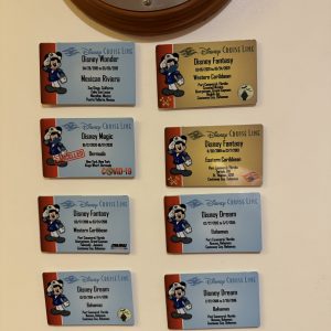 Custom Disney Cruise key to the world magnet